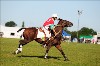 UKPA NC SAT_2188